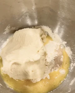 發酵好的中種麵團加入本種材料中